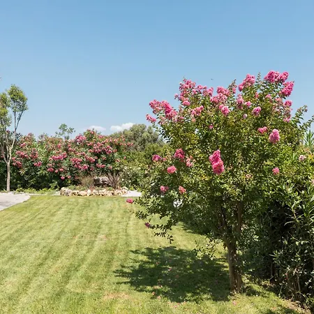 Pandora By Halu!, With Sea View