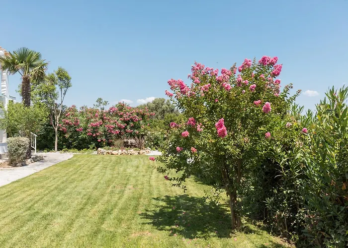 Pandora By Halu!, With Sea View